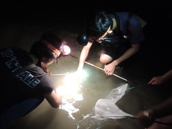 澎湖旅遊-夜間照海